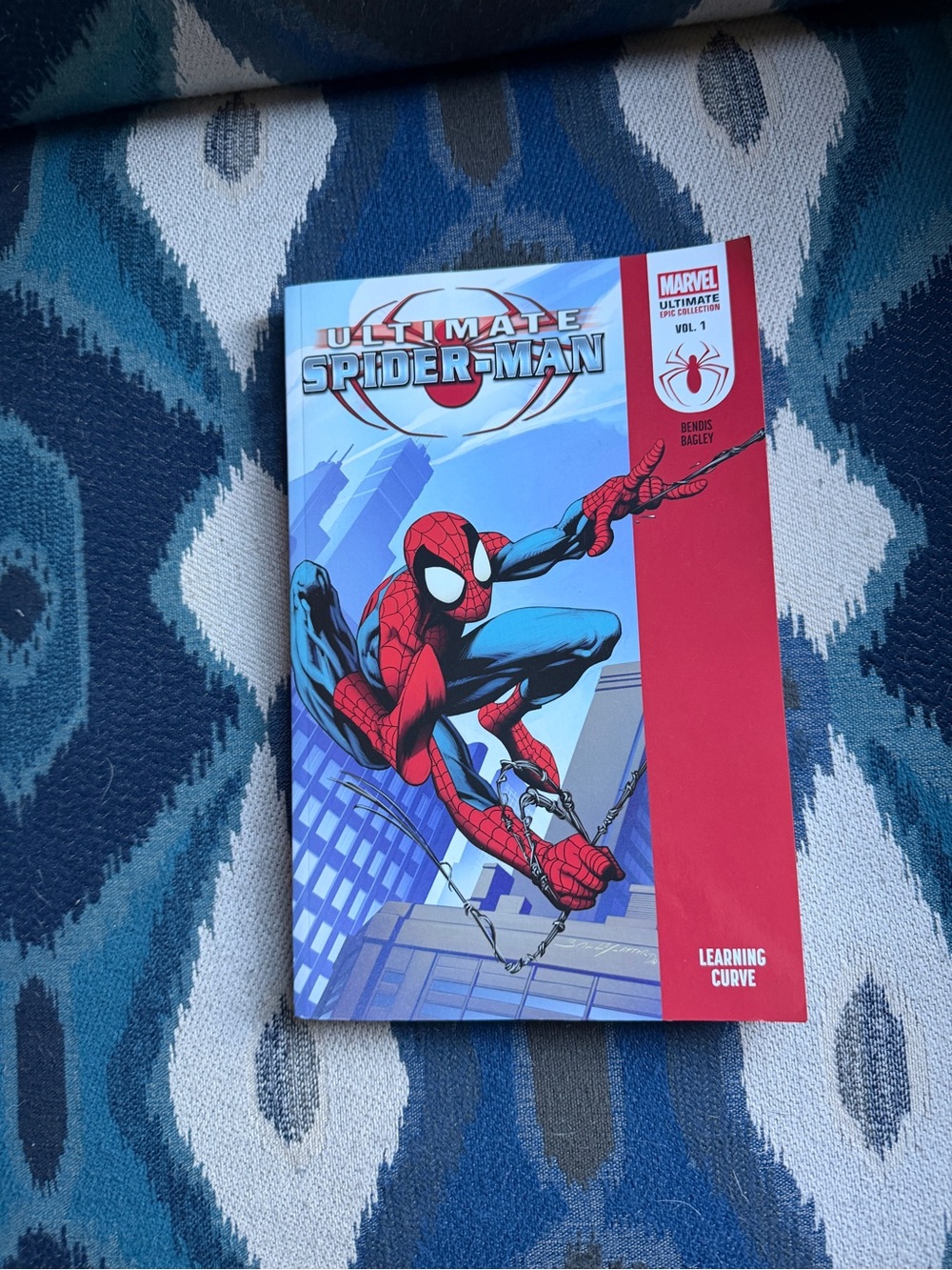 Marvel Spider-Man Graphic Novel Cover - Red & Blue